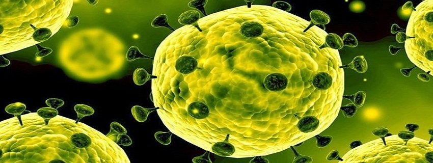 Infecția Coronavirus de tip nou (2019-nCoV)